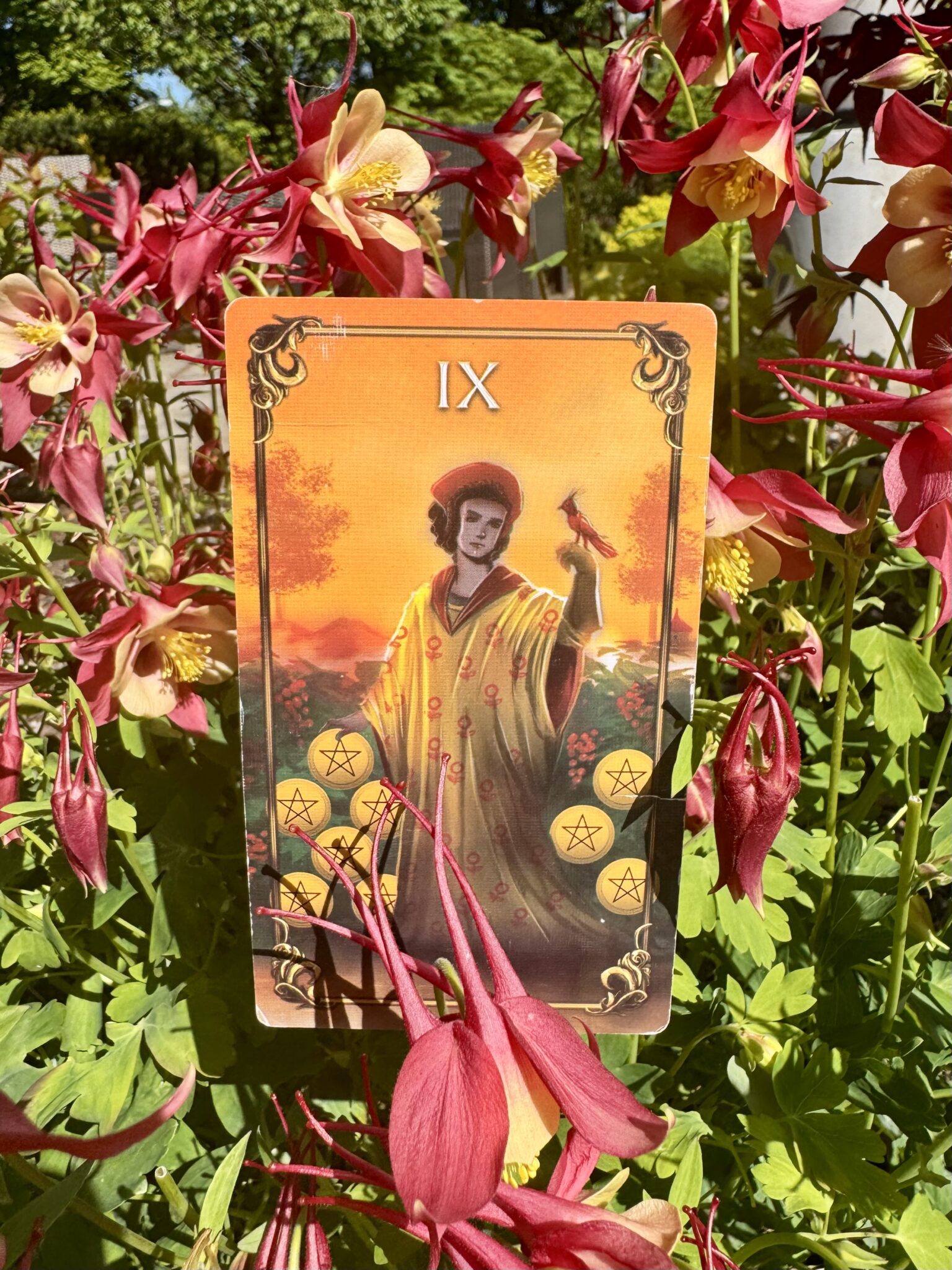 card
